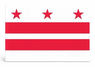 Washington D.C. Flag