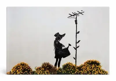 Aerial Flower Girl — Street Art Print