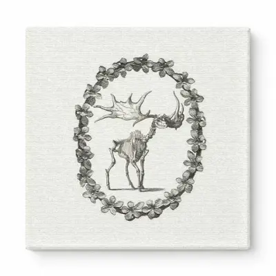 Moose Skeleton in Floral Wreath