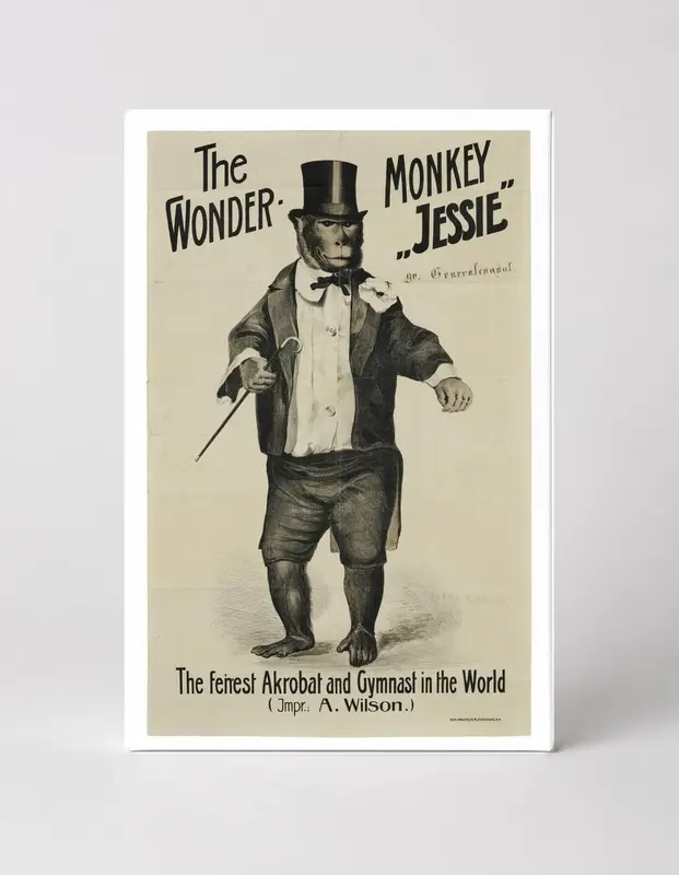 The Wonder Monkey Jessie 1890s - Victorian Circus Vintage Poster Wall Art