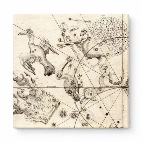 Uranometria — Southern Birds Plate (1603)