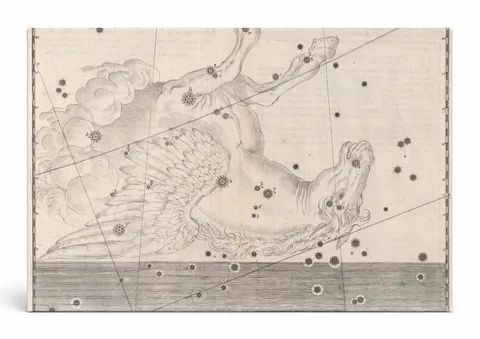 Pegasus (Uranometria, 1603)
