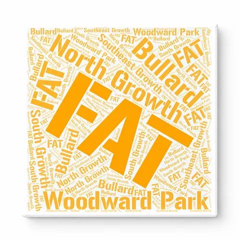 Fresno Neighborhoods Word Art — Orange