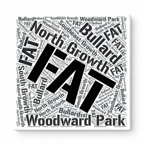 Fresno Neighborhoods Word Art — Black