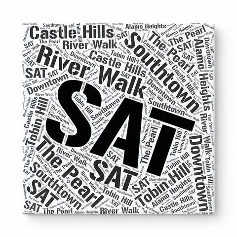 San Antonio Neighborhoods Word Art — Black