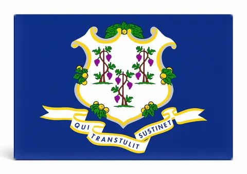 Connecticut State Flag