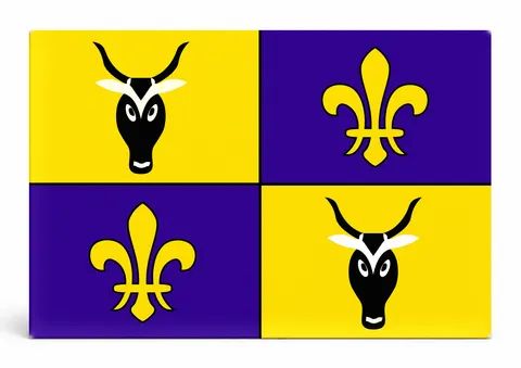 Antananarivo City Flag