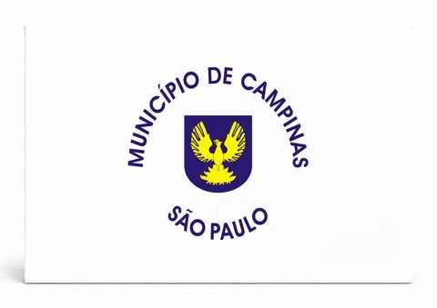 Campinas City Flag