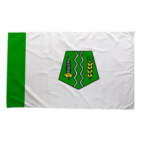 Fez City Flag