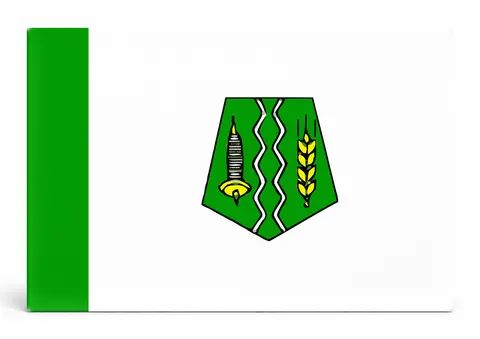 Fez City Flag