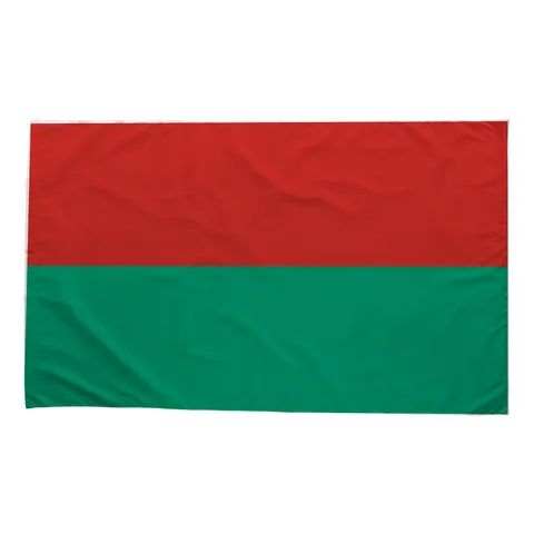 La Paz City Flag