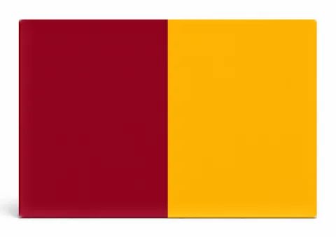 Rome City Flag