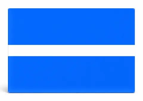 Thin White Line Flag