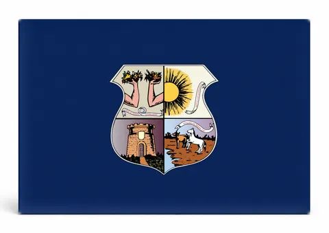 Belém City Flag