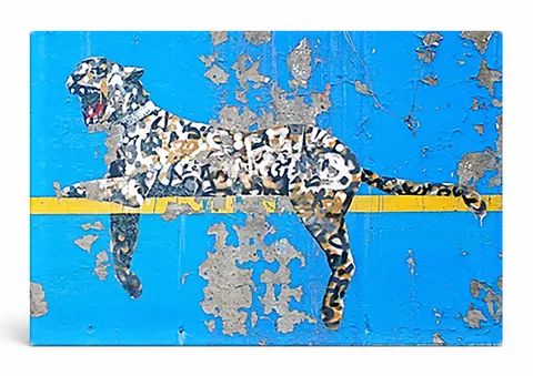 Bronx Zoo — Street Art Print