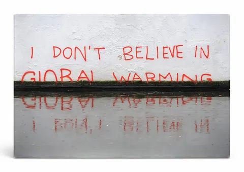Don't Believe in Global Warming close — Street Art Print