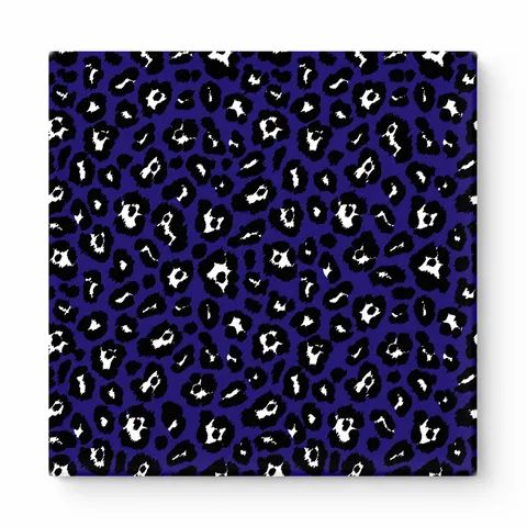Navy & White Leopard — National Football Teams