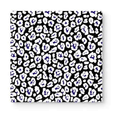 Black & White Leopard — National Football Teams