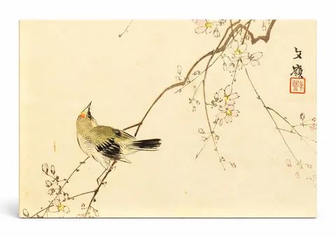 Bird on Cherry Blossom Branch