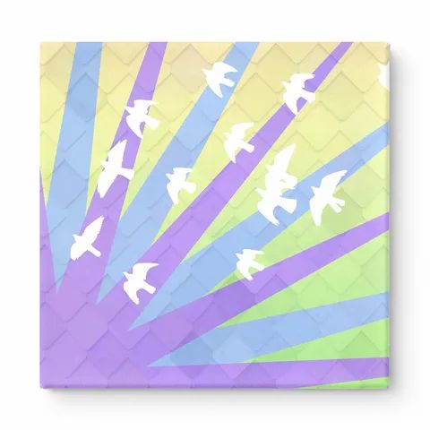 Birds in Flight with Sunrays