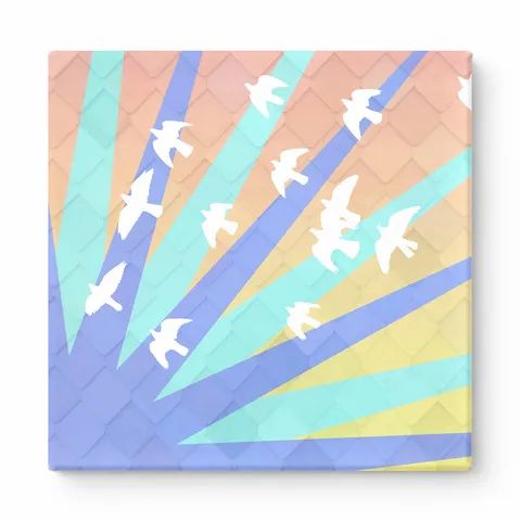 Birds in Flight with Radiant Rays