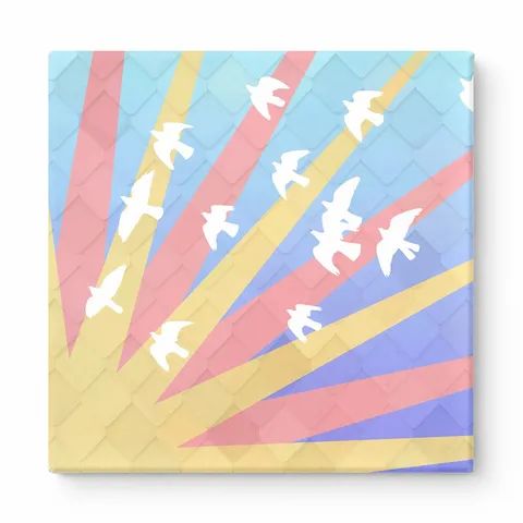 Birds in Flight with Radiating Rays