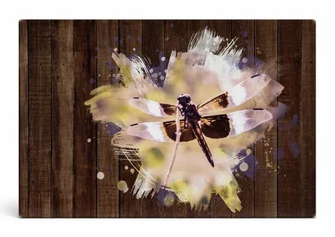 Dragonfly on Weathered Wood