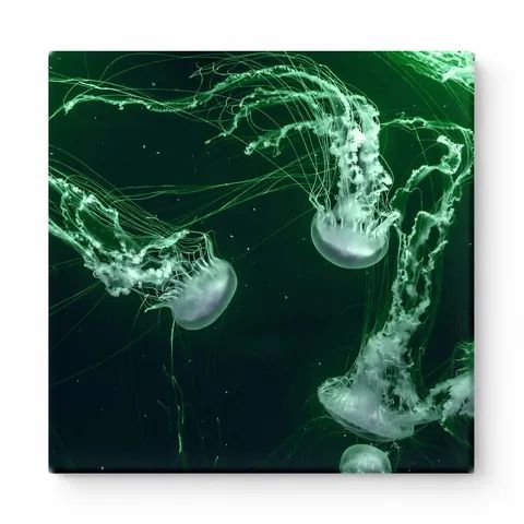 Glowing Jellyfish in Deep Green