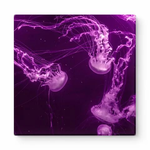 Glowing Jellyfish in Purple Light