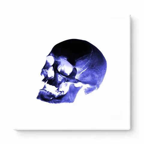 Blue Skull