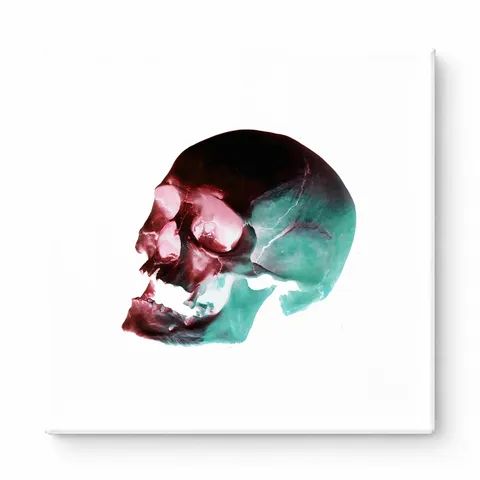 Chromatic Skull Study