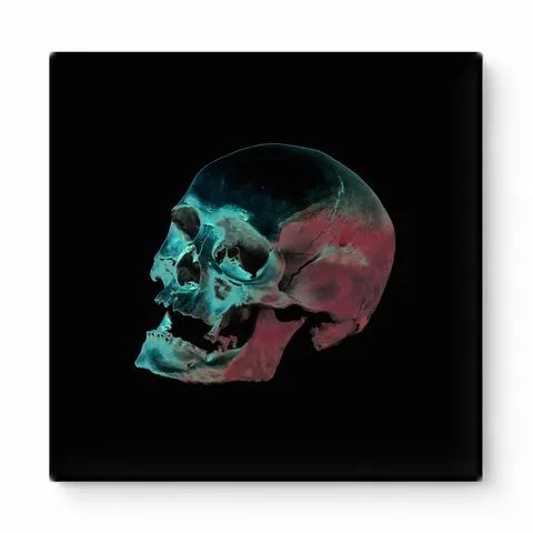 Neon Skull Study