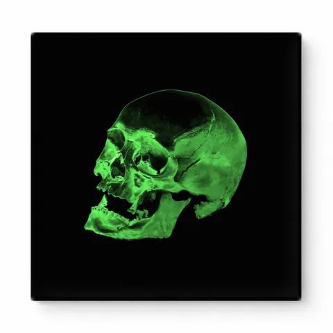 Green Skull on Black