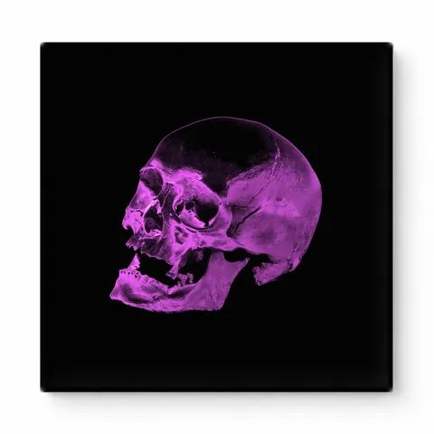 Purple Skull on Black