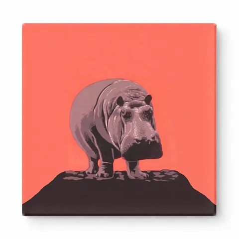 Hippopotamus on Red