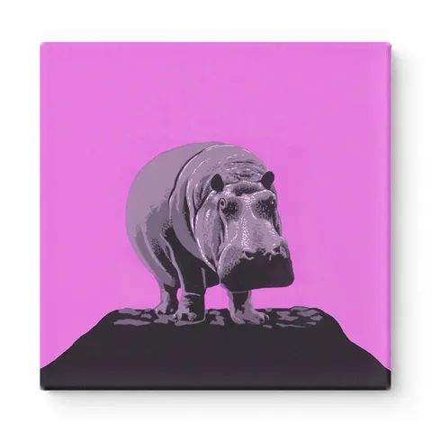 Pink Hippo