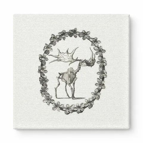 Moose Skeleton in Floral Wreath