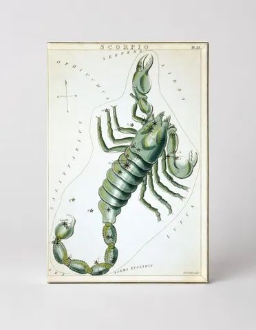 Scorpio — Urania's Mirror (1825)