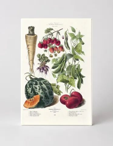 Vilmorin Vegetable Plate