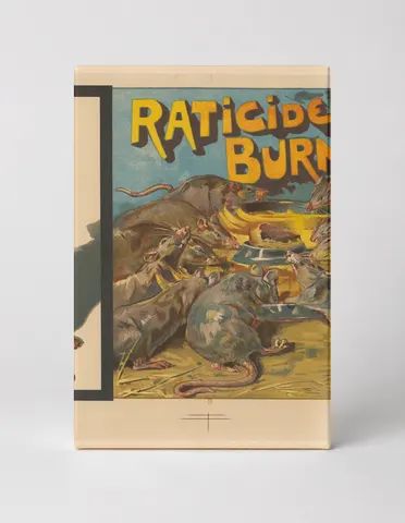 Raticide Burnichon 1890s Vintage French Rat Poison Advertising Poster Canvas