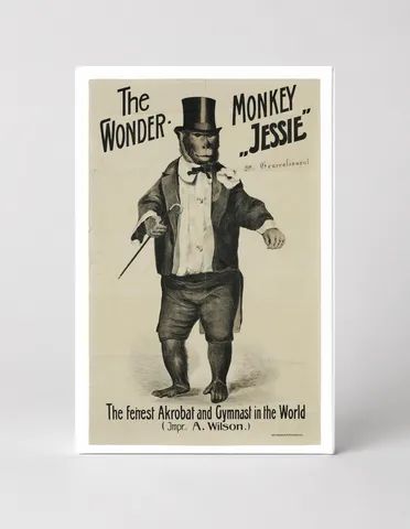 The Wonder Monkey Jessie 1890s - Victorian Circus Vintage Poster Wall Art