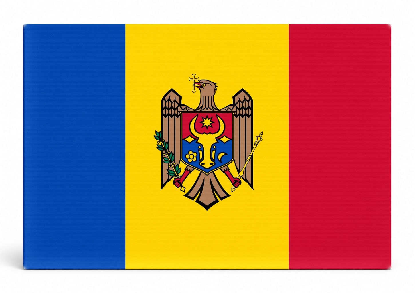 Moldova Flag