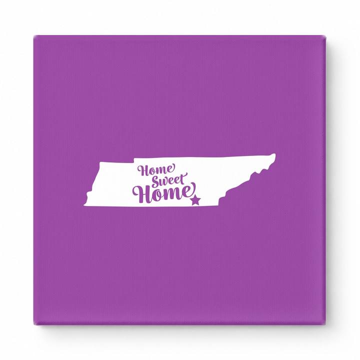 Home Sweet Memphis — Tennessee State Silhouette