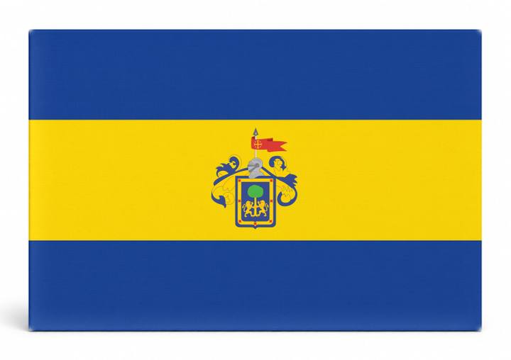 Guadalajara City Flag
