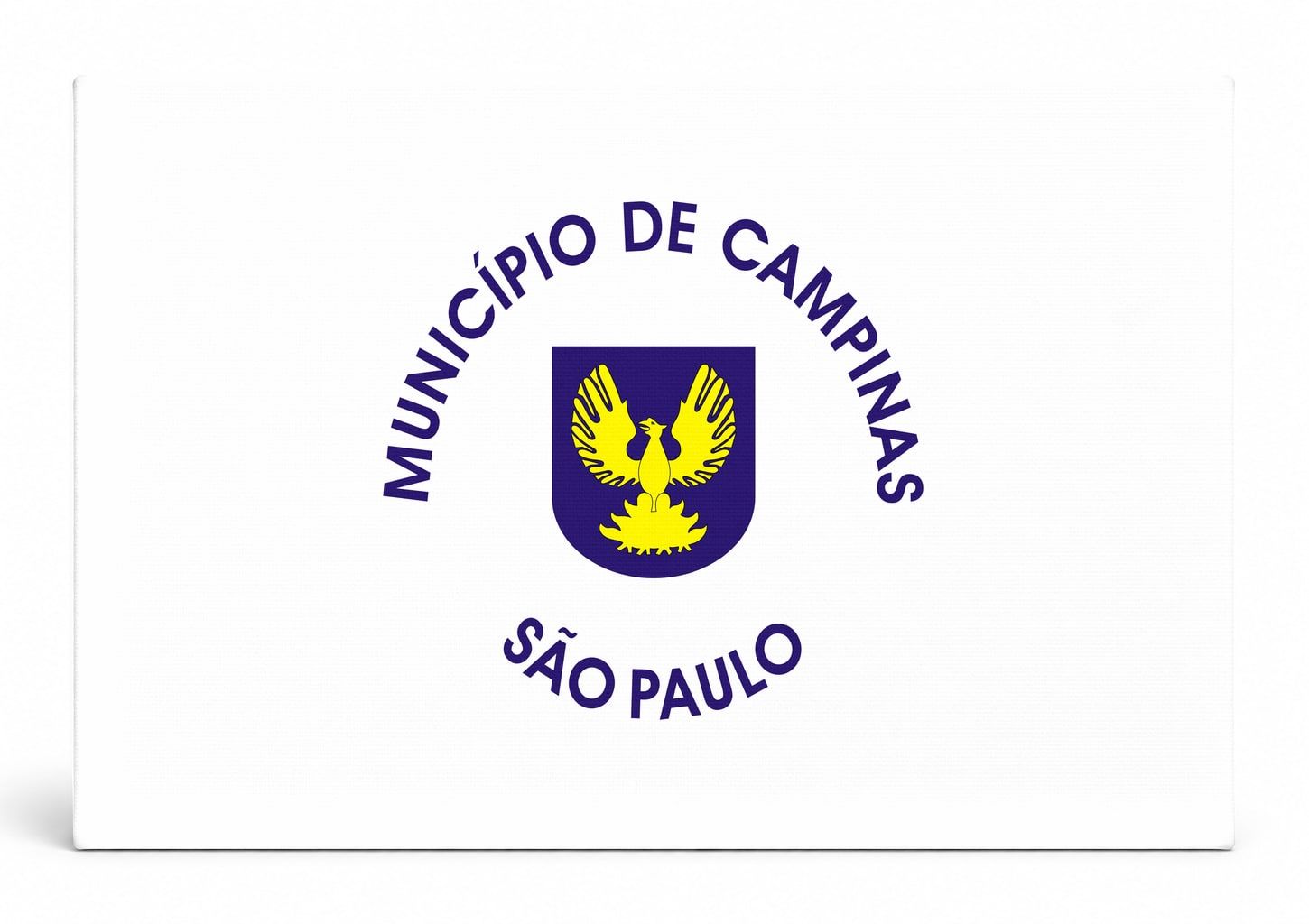 Campinas City Flag