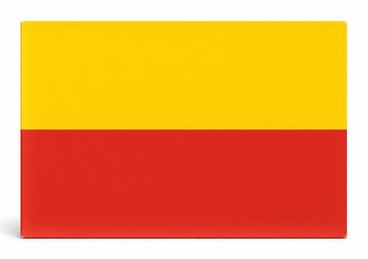 Warsaw City Flag