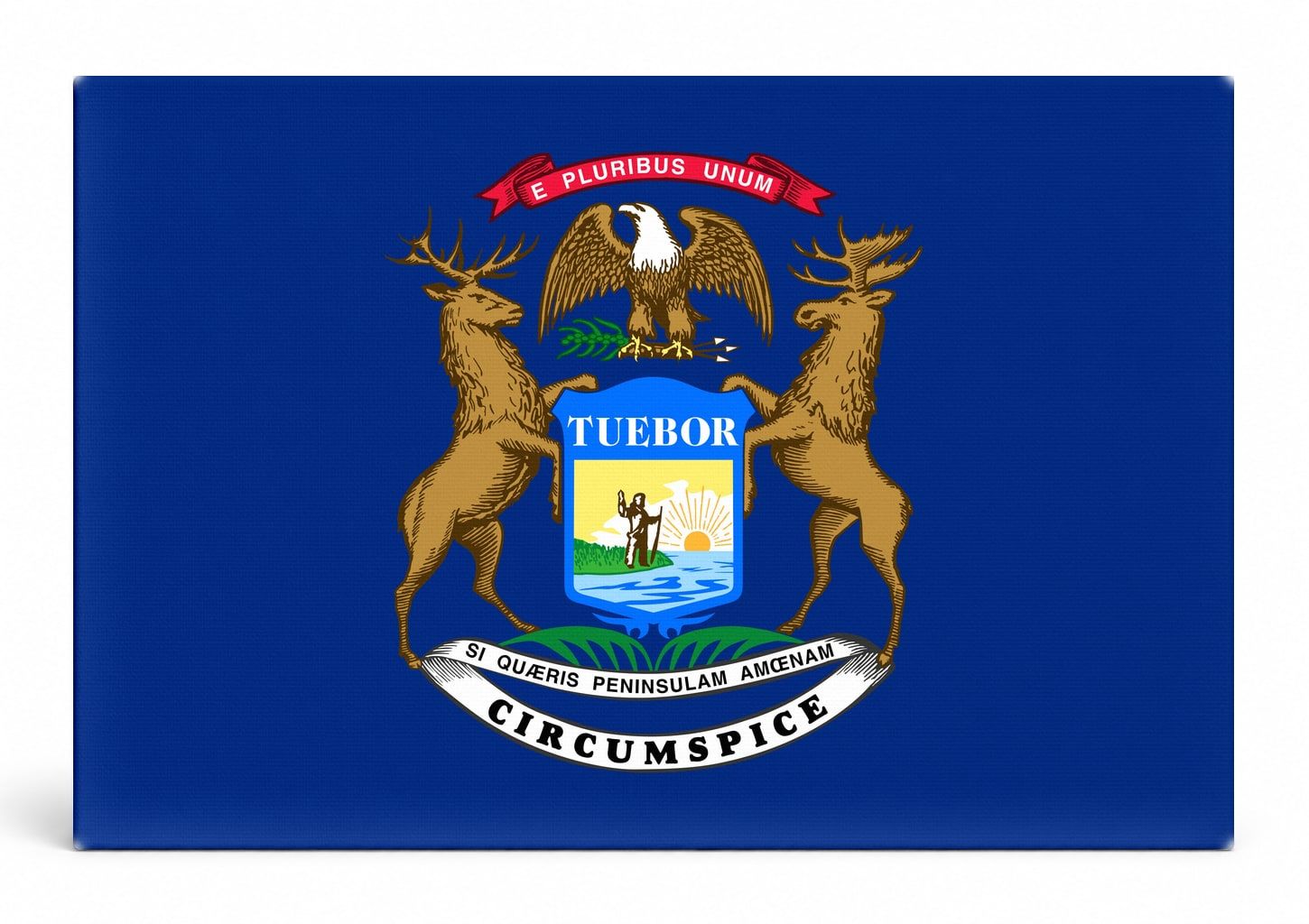Michigan State Flag