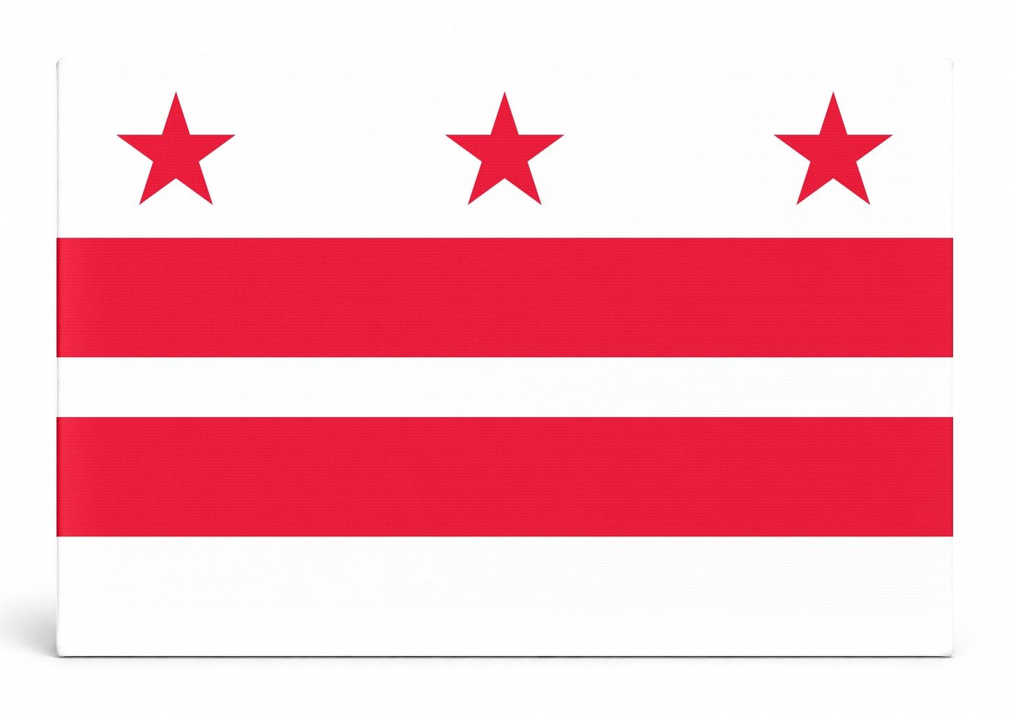Washington D.C. Flag