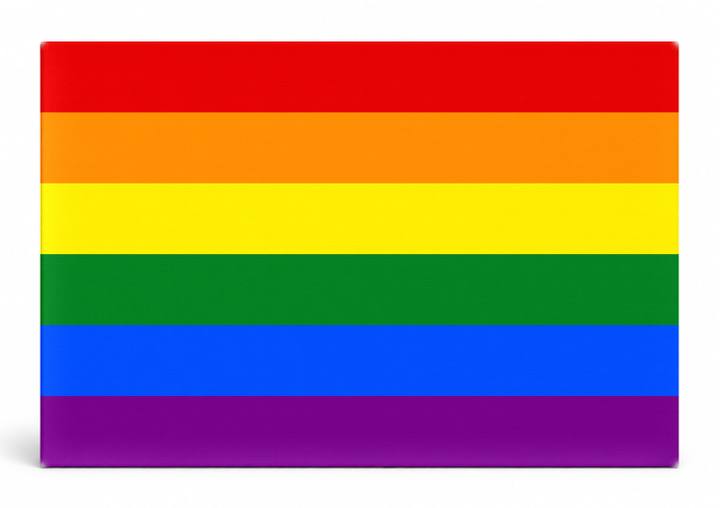 Rainbow Pride Flag