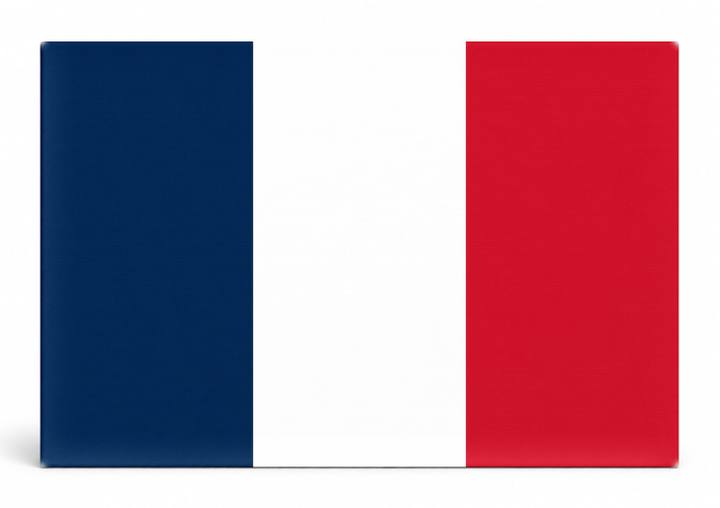 France Flag